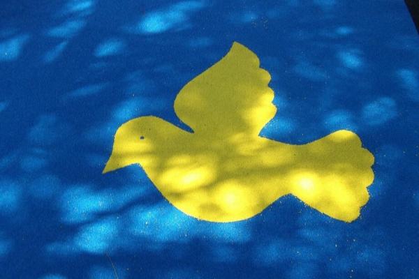 Tartan Zemin Kaplaması